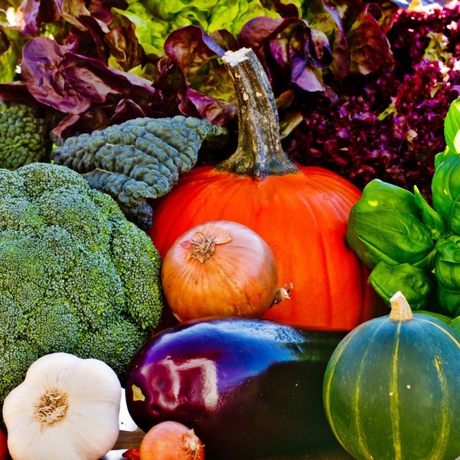 ISO 22000 Food Safety Management System